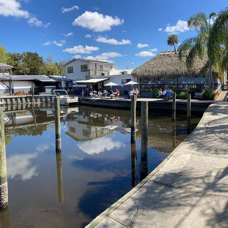 the freezer homosassa fl|the freezer homosassa dog friendly.